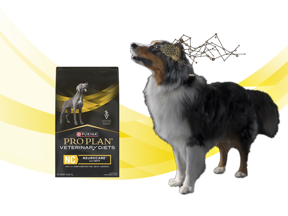 Purina Pro Plan Dog Veterinary Diets | Purina Arabia